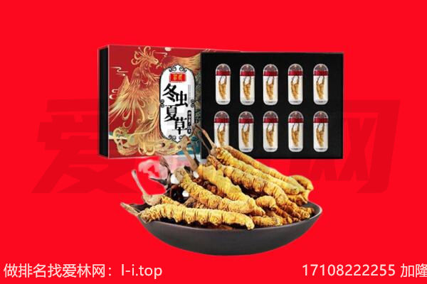 版纳回收虫草.jpg